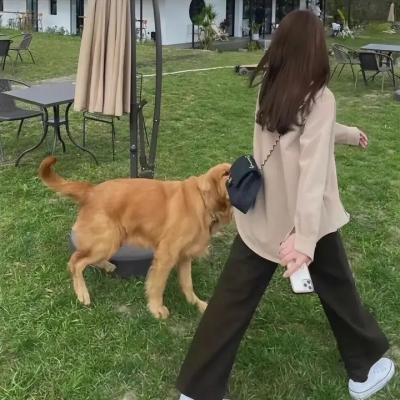 爱滋味